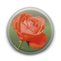 Badge Rose Orange