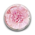 Badge : Fleur œillet rose