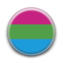 Badge : Drapeau polysexuel