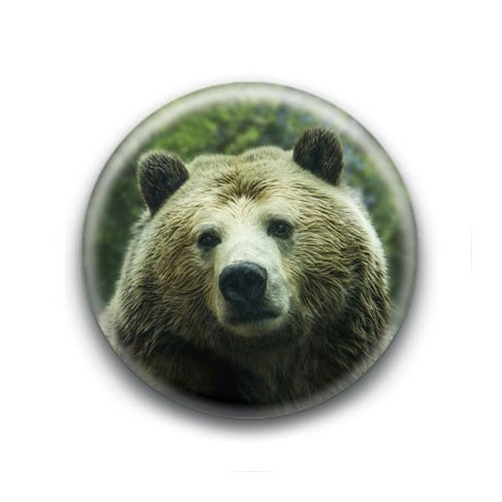 Badge : Ours brun