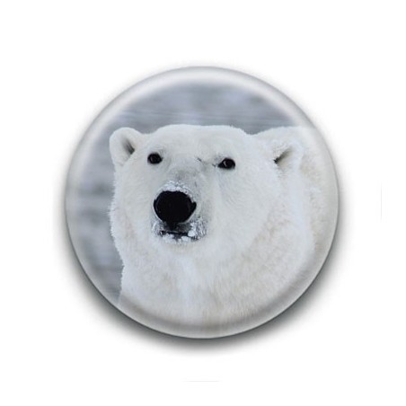 Badge : Ours polaire
