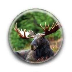 Badge Elan