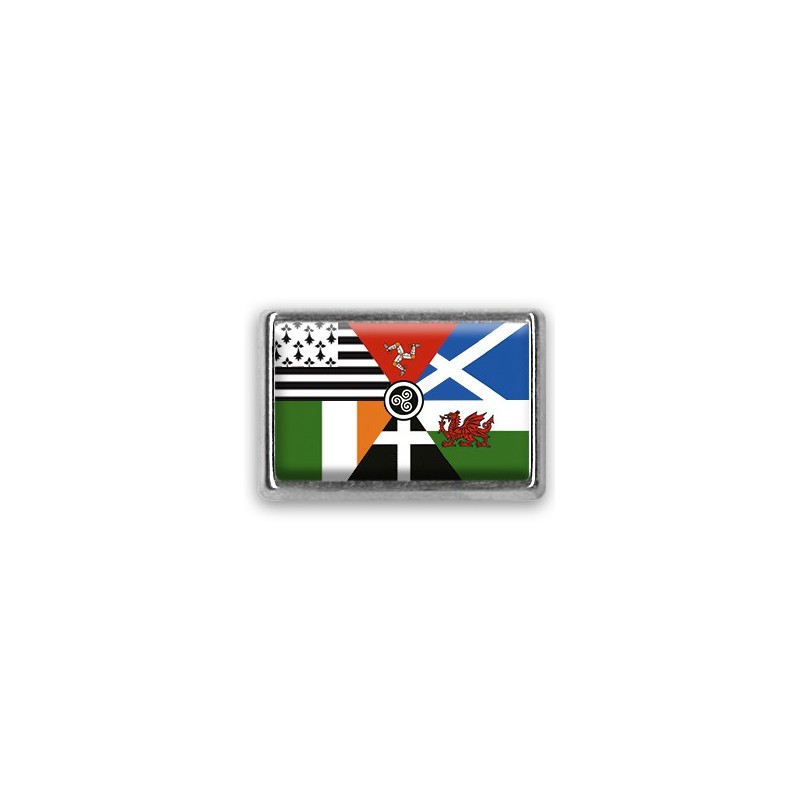Pins rectangle : Drapeau Interceltique