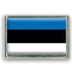 Pins rectangle : Drapeau Estonie