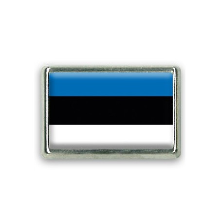 Pins rectangle : Drapeau Estonie