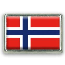 Pins rectangle : Drapeau Norvège