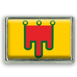 Pins rectangle : Drapeau Auvergne