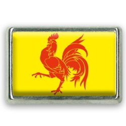 Pins rectangle : Drapeau Wallonie-Belgique