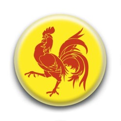 Badge drapeau de Wallonie-Belgique