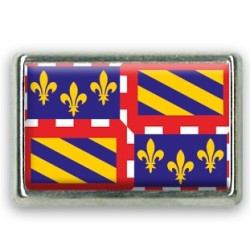 Pins rectangle : Drapeau Bourgogne