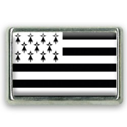 Pins rectangle : Drapeau Bretagne