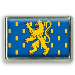 Pins rectangle : Drapeau Franche Comté