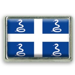 Pins rectangle : Drapeau Martinique