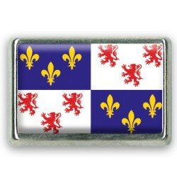 Pins rectangle : Drapeau Picardie