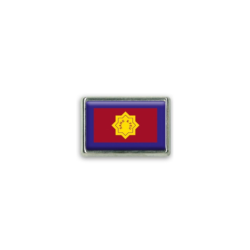 Pins rectangle : Drapeau armée du salut