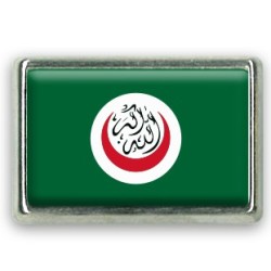 Pins rectangle : Drapeau organisation de la coopération islamique