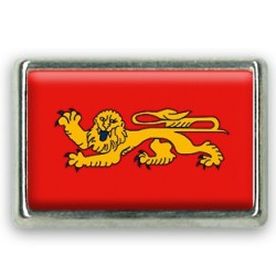 Pins rectangle : Drapeau Aquitaine