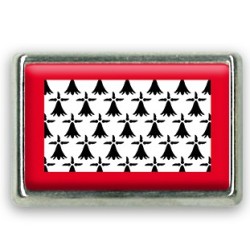 Pins rectangle : Drapeau Limousin