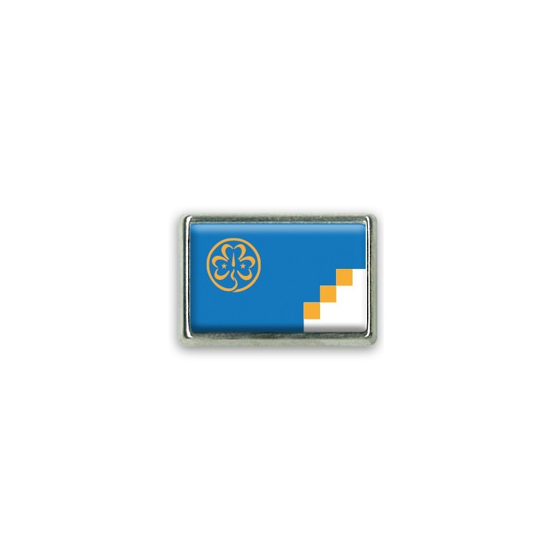 Pins rectangle : Drapeau Antarctique