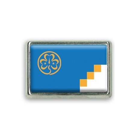 Pins rectangle : Drapeau scout