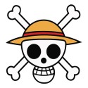 Masque : Roi des pirates, One Piece