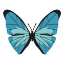 Masque 120 lavages : Papillon , morpho bleu
