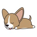 Masque : Chihuahua endormi