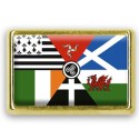 Pins rectangle : Drapeau Interceltique