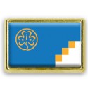 Pins rectangle : Drapeau Antarctique