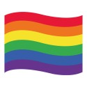 Masque : Drapeau LGBTQIA+