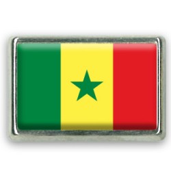 Pins rectangle : Drapeau Sénégal