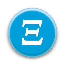 Badge Lettre grecque X
