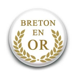 Badge breton en or fond blanc