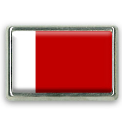 Pins rectangle : Drapeau de Dubaï
