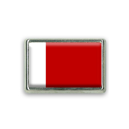 Pins rectangle : Drapeau de Dubaï