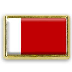 Pins rectangle : Drapeau de Dubaï