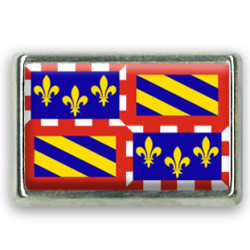 Pins rectangle : Drapeau Bourgogne