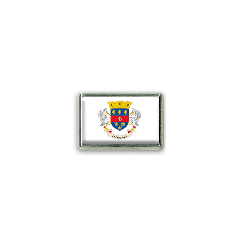 Pins rectangle : Drapeau Saint Barthélémy Pins rectangle : Drapeau Saint Barthélémy