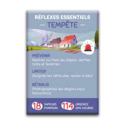 Magnet rectangle : Réflexes tempête