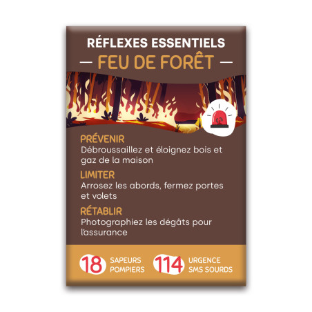 Magnet rectangle : Réflexes feu de forêt
