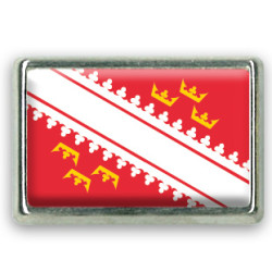 Pins rectangle : Drapeau Alsace
