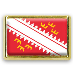 Pins rectangle : Drapeau Alsace