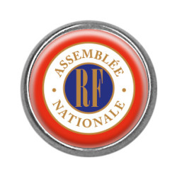 Pin's rond chromé : Assemblée nationale