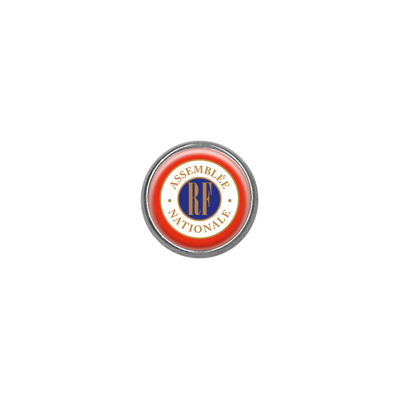 Pin's rond chromé : Assemblée nationale