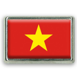 Pins rectangle : Drapeau Vietnam