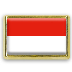 Pins rectangle : Drapeau Indonésie