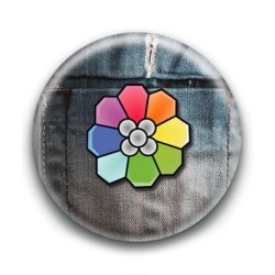 Badge Ligue Pokemon 5