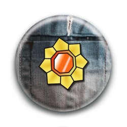 Badge Ligue Pokemon 6