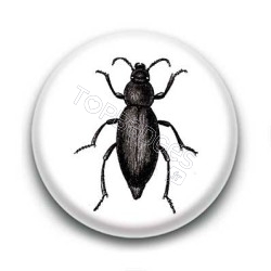 Badge Insecte