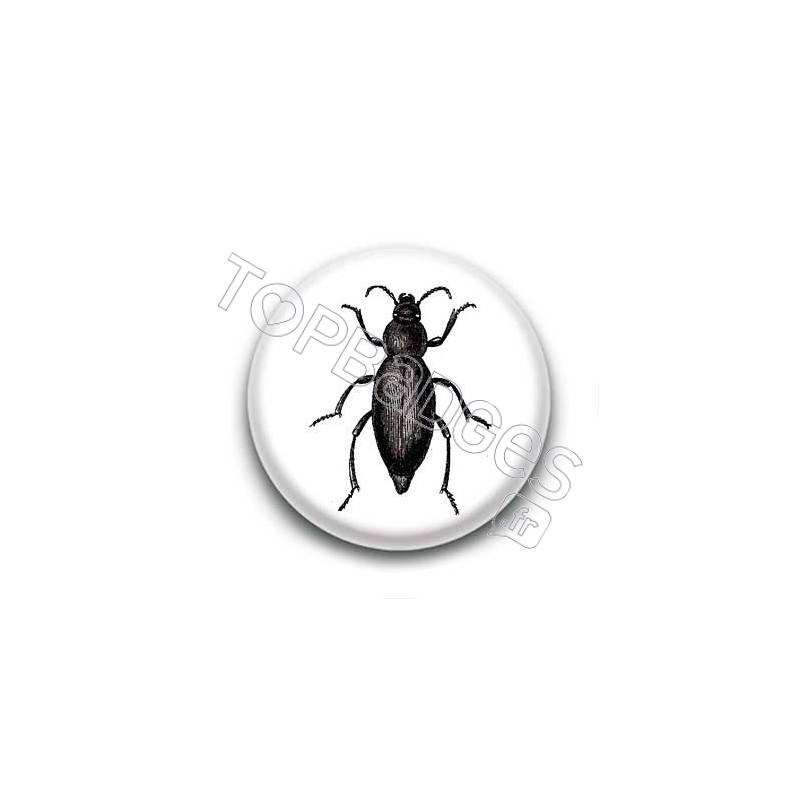 Badge Insecte